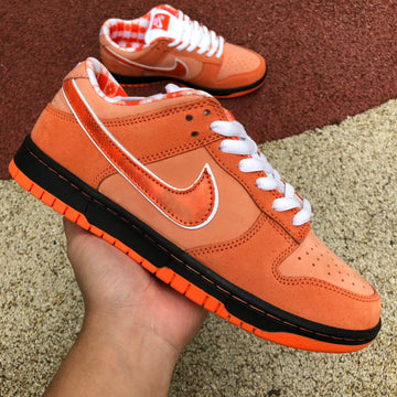 Nike Dunk SB low